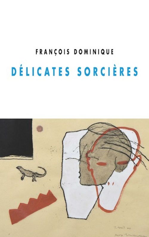 ebook cover of Délicates Sorcières, by Dominique François