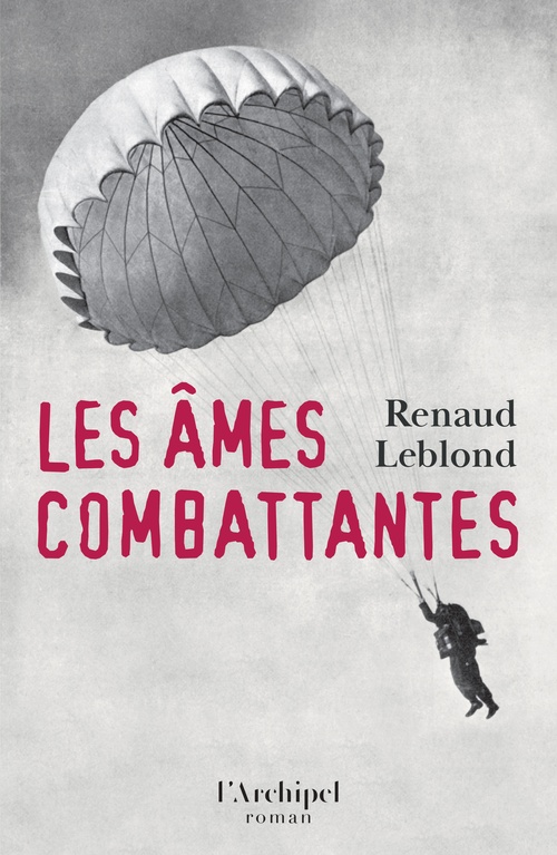 ebook cover of Les âmes combattantes, by Renaud Leblond