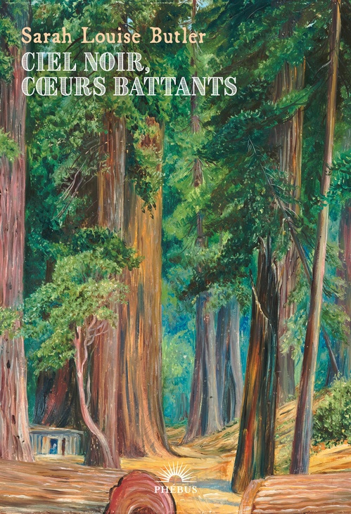 ebook cover of Ciel noir, coeurs battants, by Sarah Louise Butler