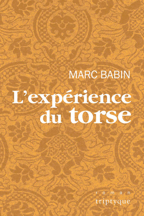 ebook cover of L'expérience du torse, by Babin Marc