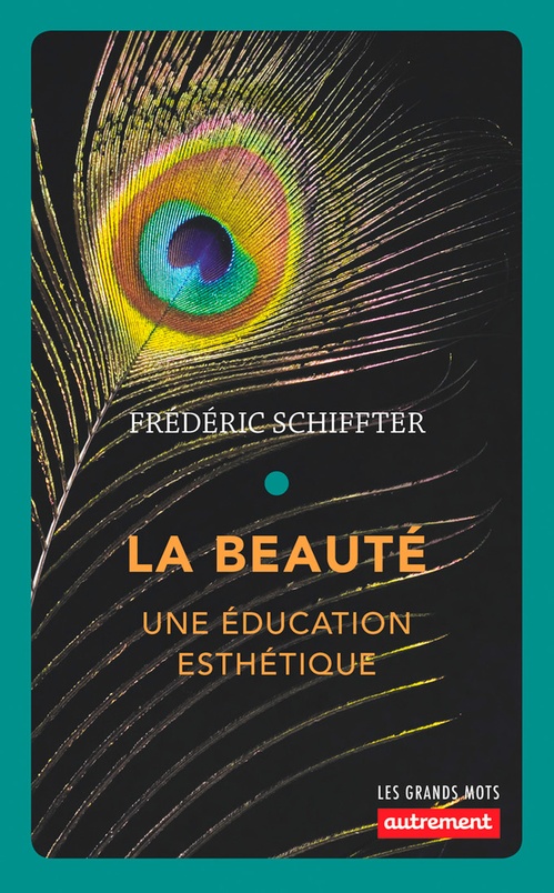 Couverture ebook de La Beauté, de Frédéric Schiffter