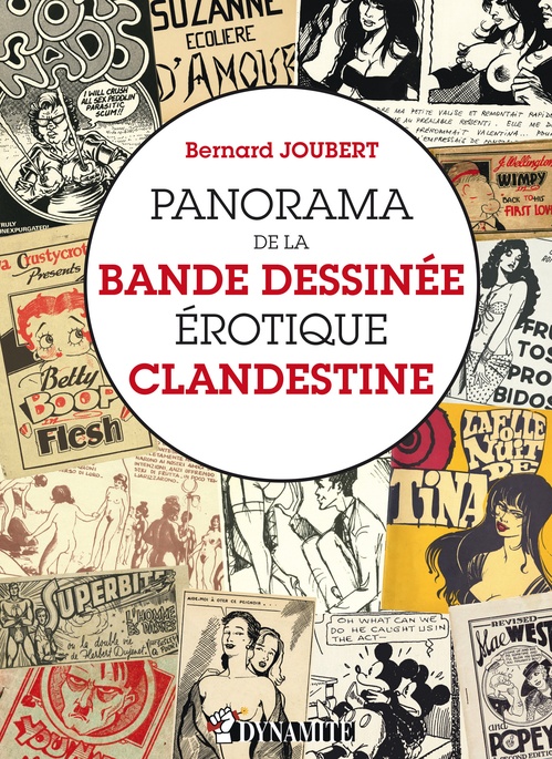 ebook cover of Panorama de la bande dessinée érotique clandestine, by Bernard Joubert