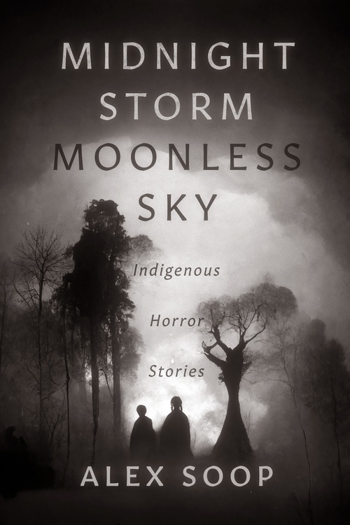 ebook cover of Midnight Storm Moonless Sky, by Alex Soop