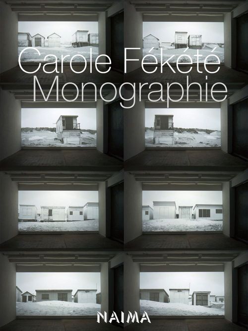 Couverture ebook de Carole Fékété - Monographie, de Carole Fekete