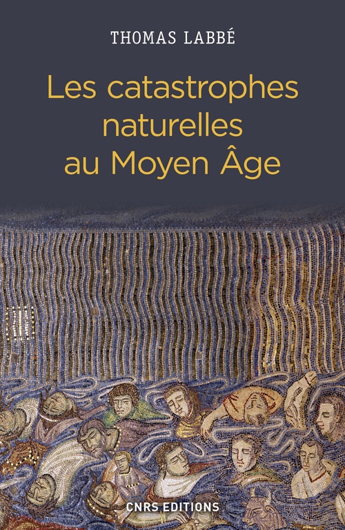 ebook cover of Les catastrophes naturelles au Moyen Age, by Thomas Labbé