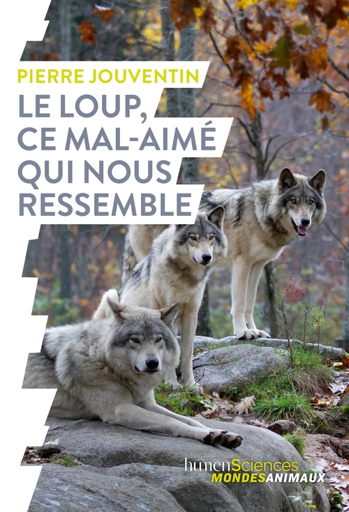 Couverture ebook de Le loup, ce mal-aimé qui nous ressemble, de Pierre Jouventin