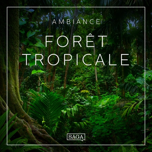 Couverture audiobook de Ambiance - Forêt tropicale, de Rasmus Broe