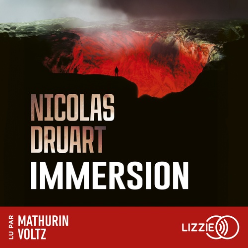 audiobook cover of Immersion, by Nicolas Druart