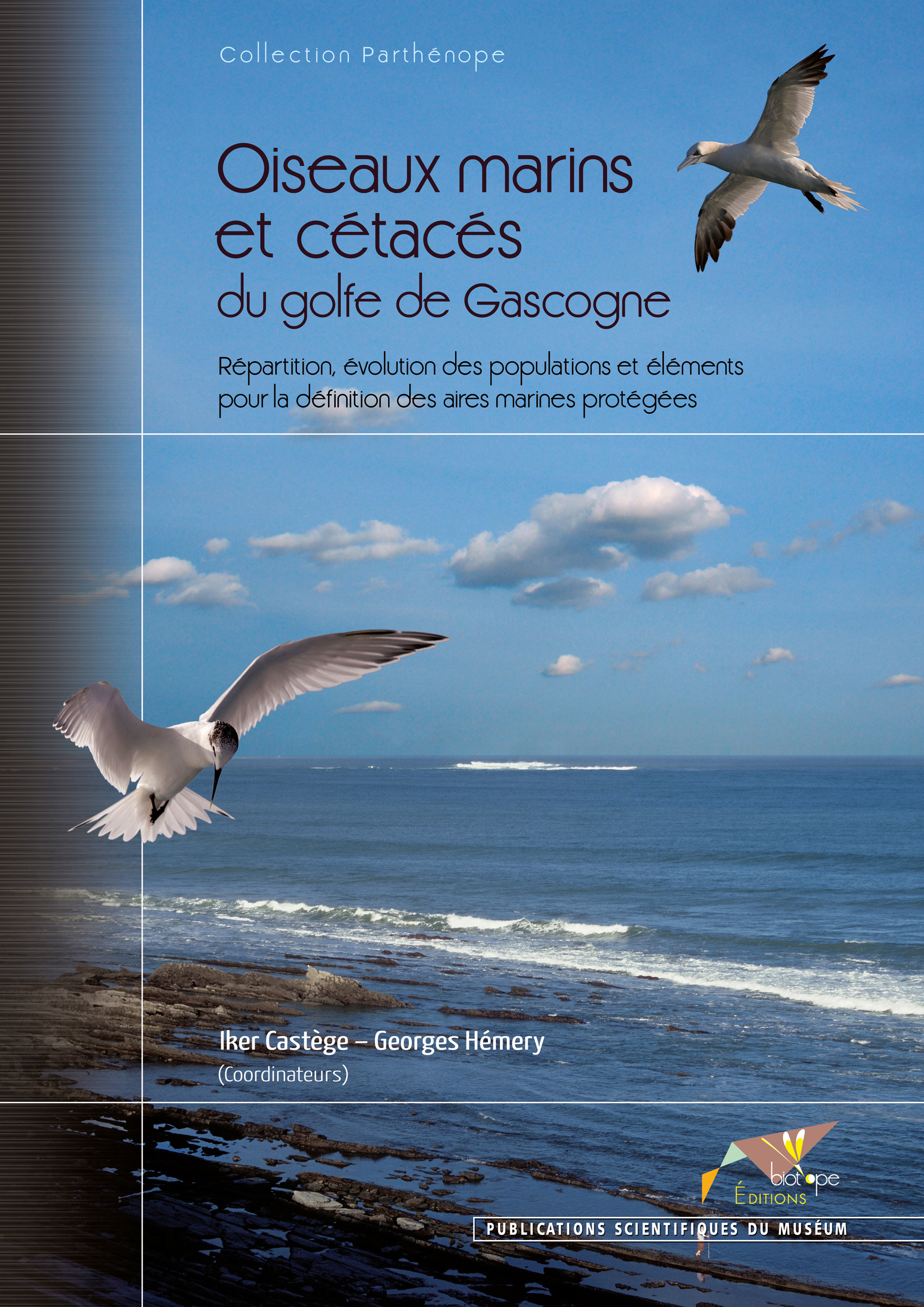 Couverture ebook de Oiseaux marins et cétacés du golfe de Gascogne, de Castege/Hemery