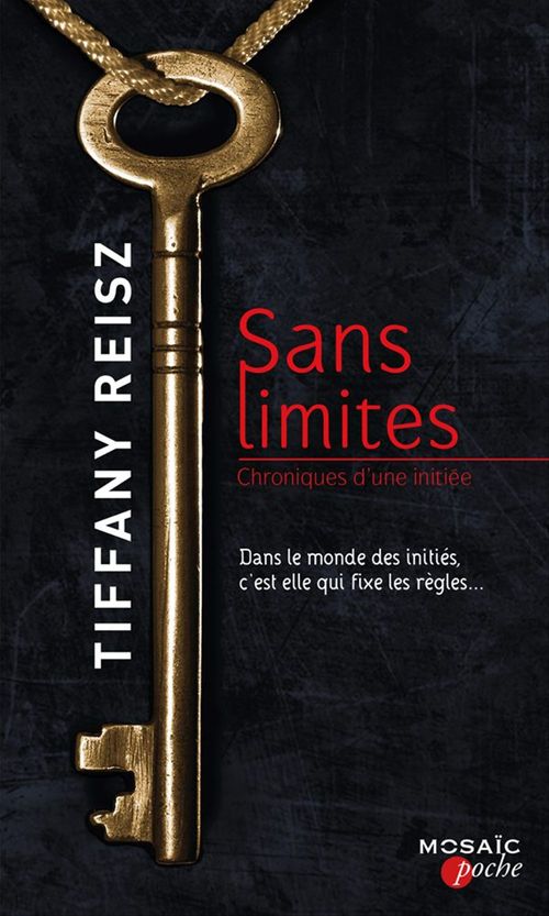 Couverture ebook de Sans limites, de Tiffany Reisz