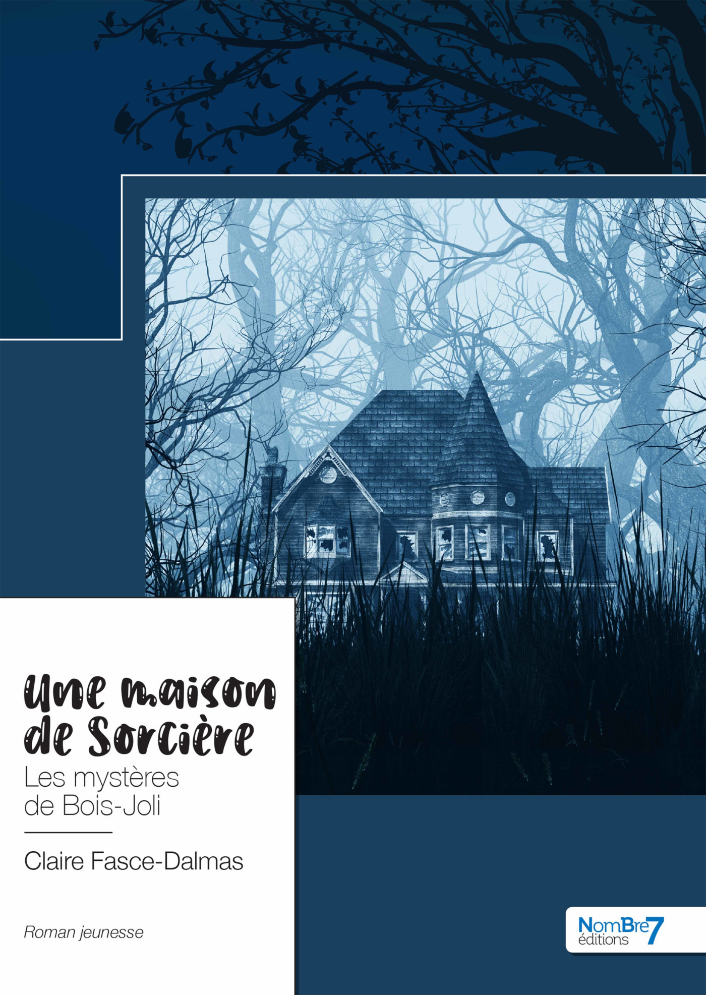 ebook cover of Une maison de Sorcière, by Claire Fasce-Dalmas