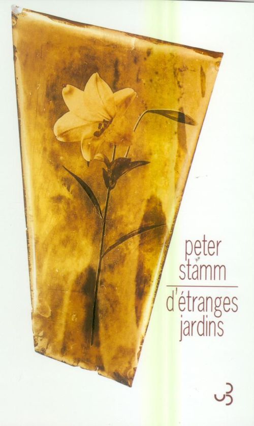 ebook cover of D'étranges jardins, by Peter Stamm, Nicole Roethel