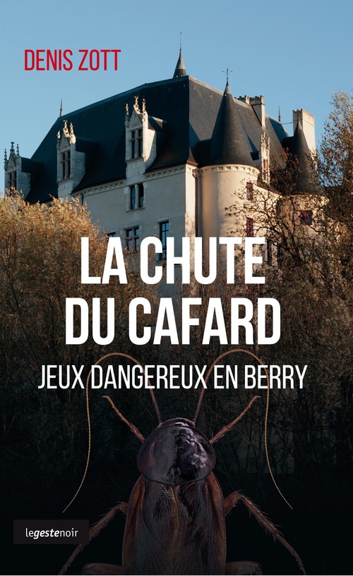 ebook cover of La chute du cafard, by Denis Zott