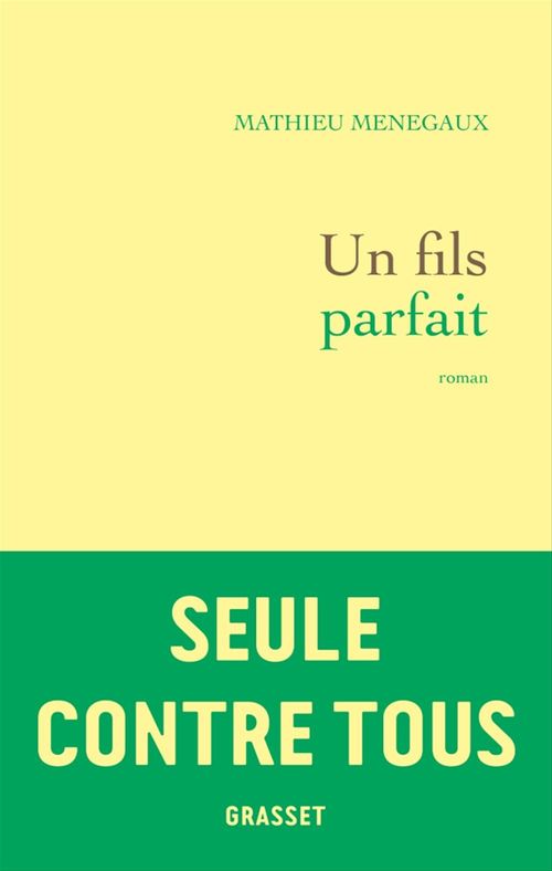 Couverture ebook de Un fils parfait, de Mathieu Menegaux