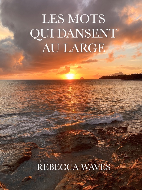 ebook cover of Les mots qui dansent au large, by Rebecca Waves