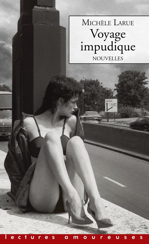 ebook cover of Voyage impudique - Nouvelles, by Michèle Larue