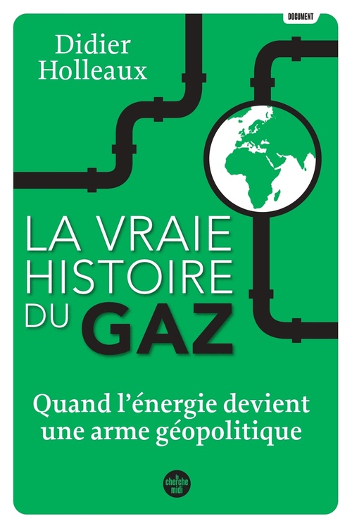 ebook cover of La vraie histoire du gaz - Quand l'énergie devient une arme géopolitique, by Didier Holleaux