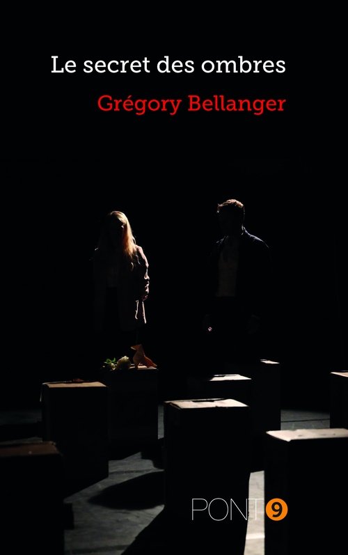 ebook cover of Le secret des ombres, by Grégory Bellanger