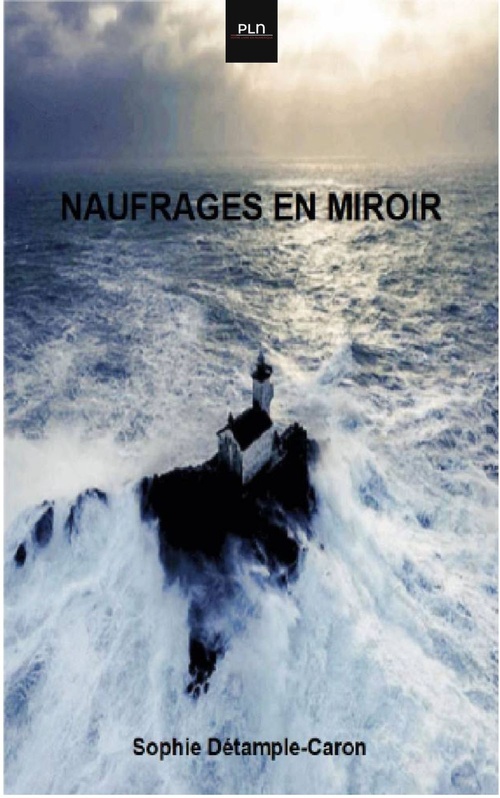 ebook cover of Naufrages en Miroir, by Sophie Detample-Caron