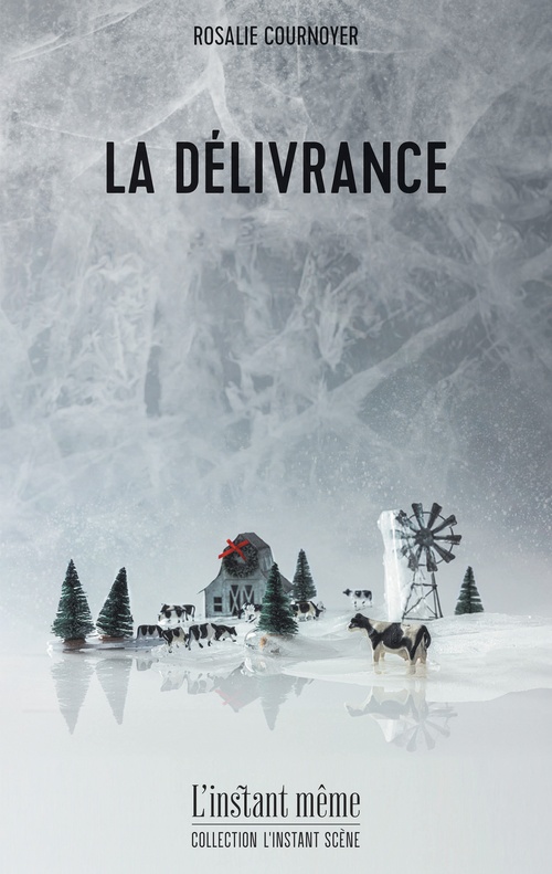 Couverture ebook de La délivrance, de Rosalie Cournoyer