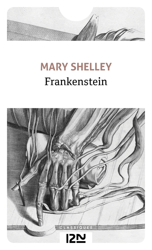 ebook cover of Frankenstein, by Mary Shelley