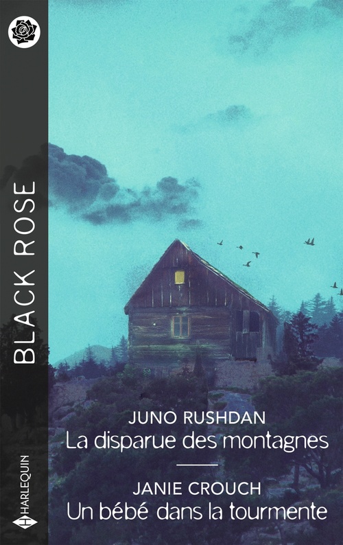 Couverture ebook de La disparue des montagnes - Un bébé dans la tourmente, de Janie Crouch, Juno Rushdan