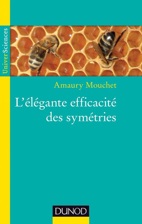 Couverture ebook de L'élégante efficacité des symétries, de Amaury Mouchet