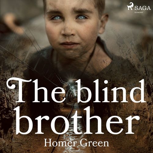 Couverture audiobook de The Blind Brother, de Homer Green