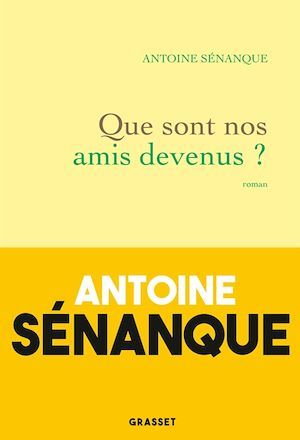 ebook cover of Que sont nos amis devenus ?, by Antoine Sénanque