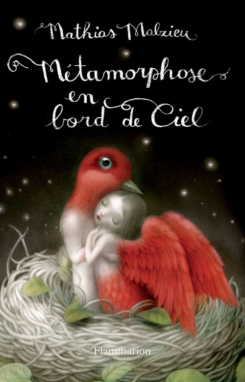 ebook cover of Métamorphose en bord de ciel, by Mathias Malzieu
