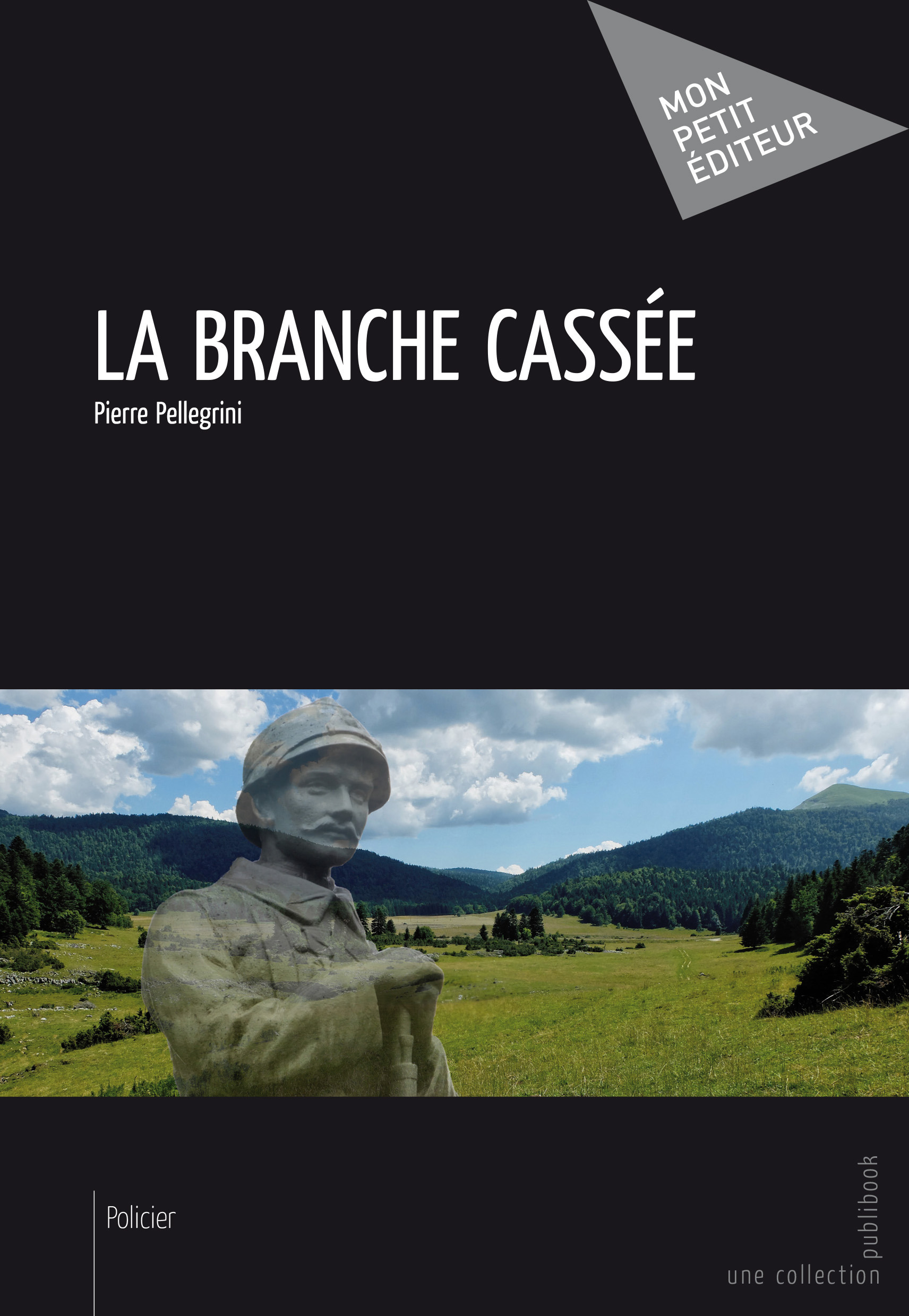 ebook cover of La Branche cassée, by Pierre Pellegrini