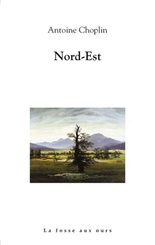 ebook cover of Nord-Est, by Antoine Choplin