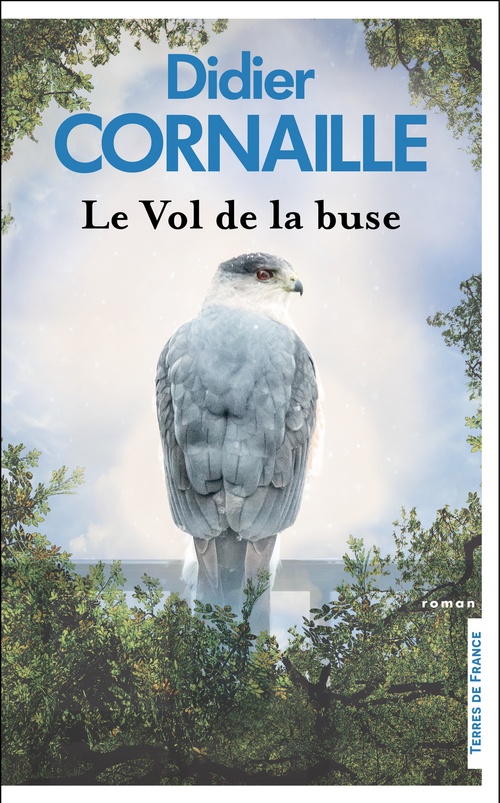 ebook cover of Le Vol de la buse, by Didier Cornaille