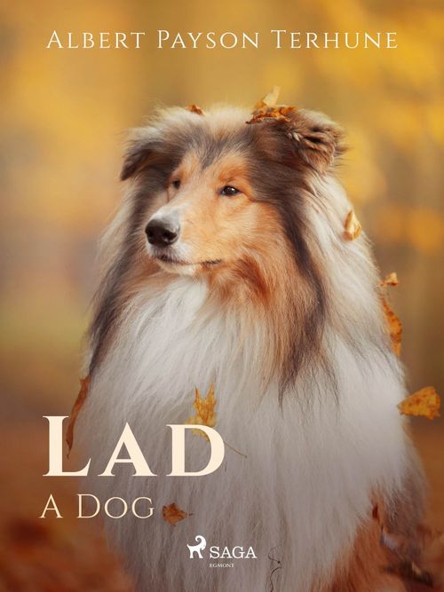 Couverture ebook de Lad: A Dog, de Albert Payson Terhune