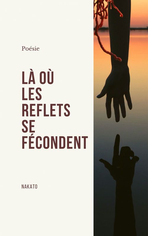 ebook cover of Là où les reflets se fécondent, by Nakato