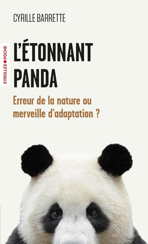 Couverture ebook de L'étonnant panda, de Cyrille Barrette