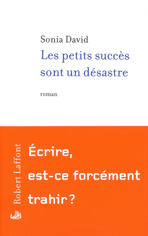 Couverture ebook de Les Petits succès sont un désastre, de Sonia David