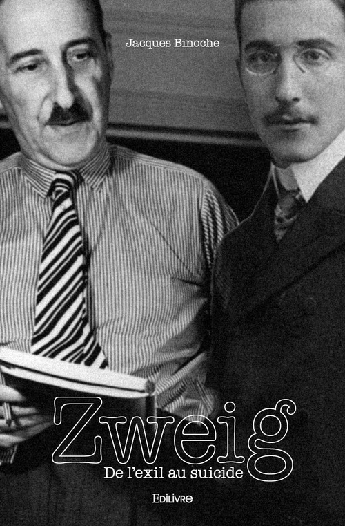 Couverture ebook de Zweig, de Schnucki