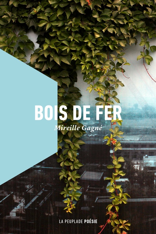 ebook cover of Bois de fer, by Mireille Gagné
