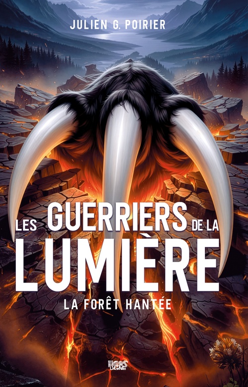 ebook cover of Les Guerriers de la Lumière, by Julien G. Poirier