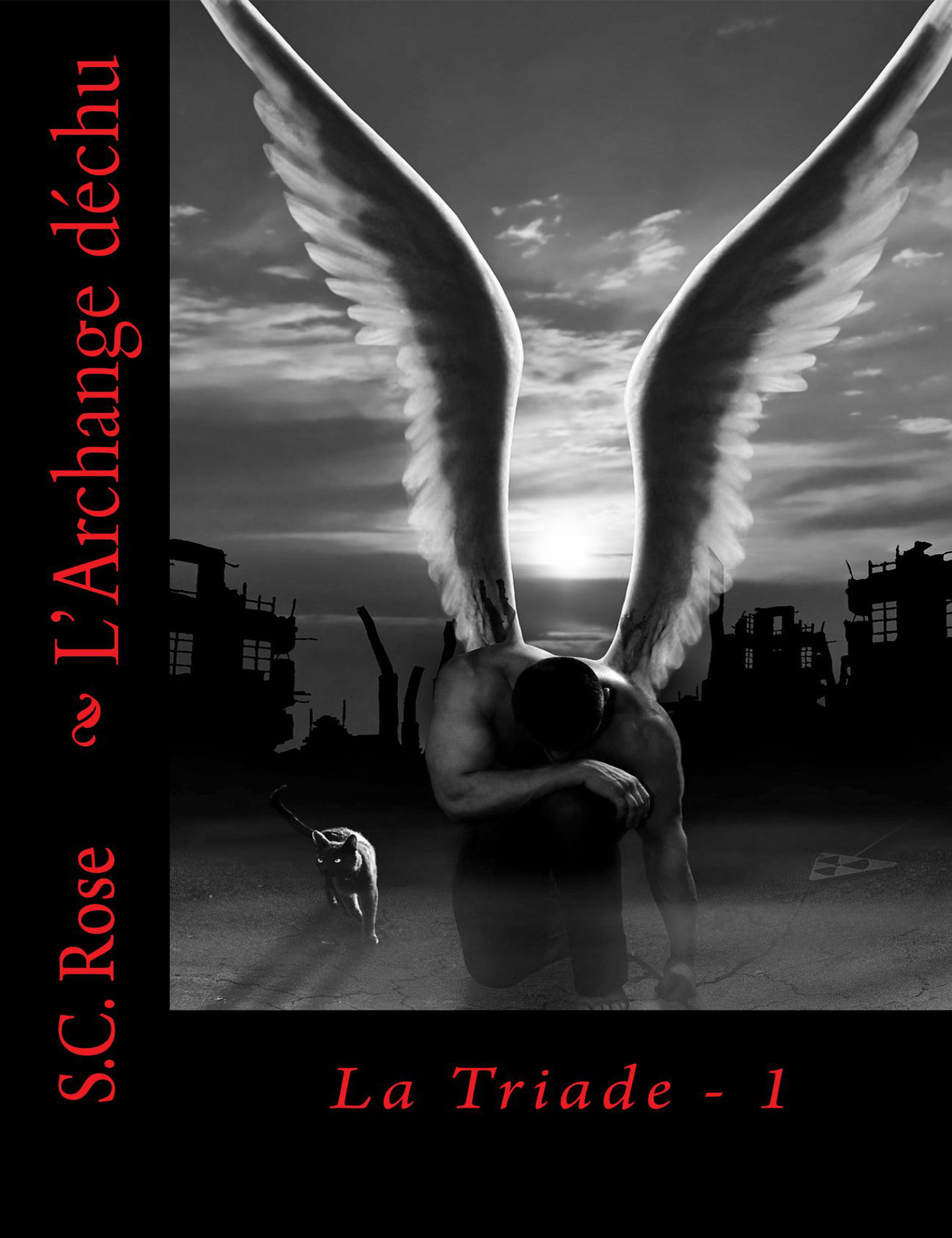 Couverture ebook de La Triade, tome 1: L'Archange déchu, de S.C. Rose