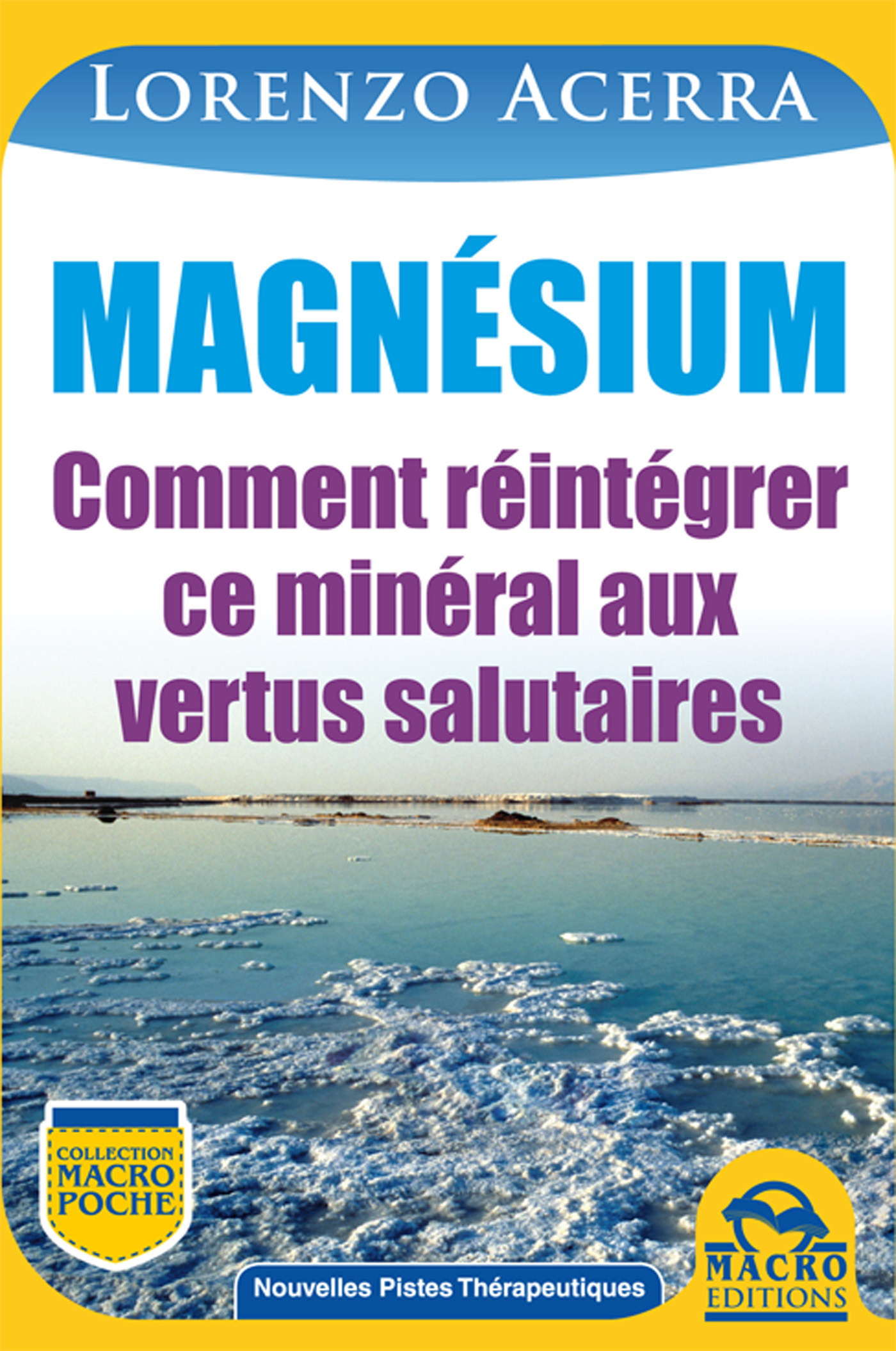 ebook cover of Magnésium, by Lorenzo Acerra