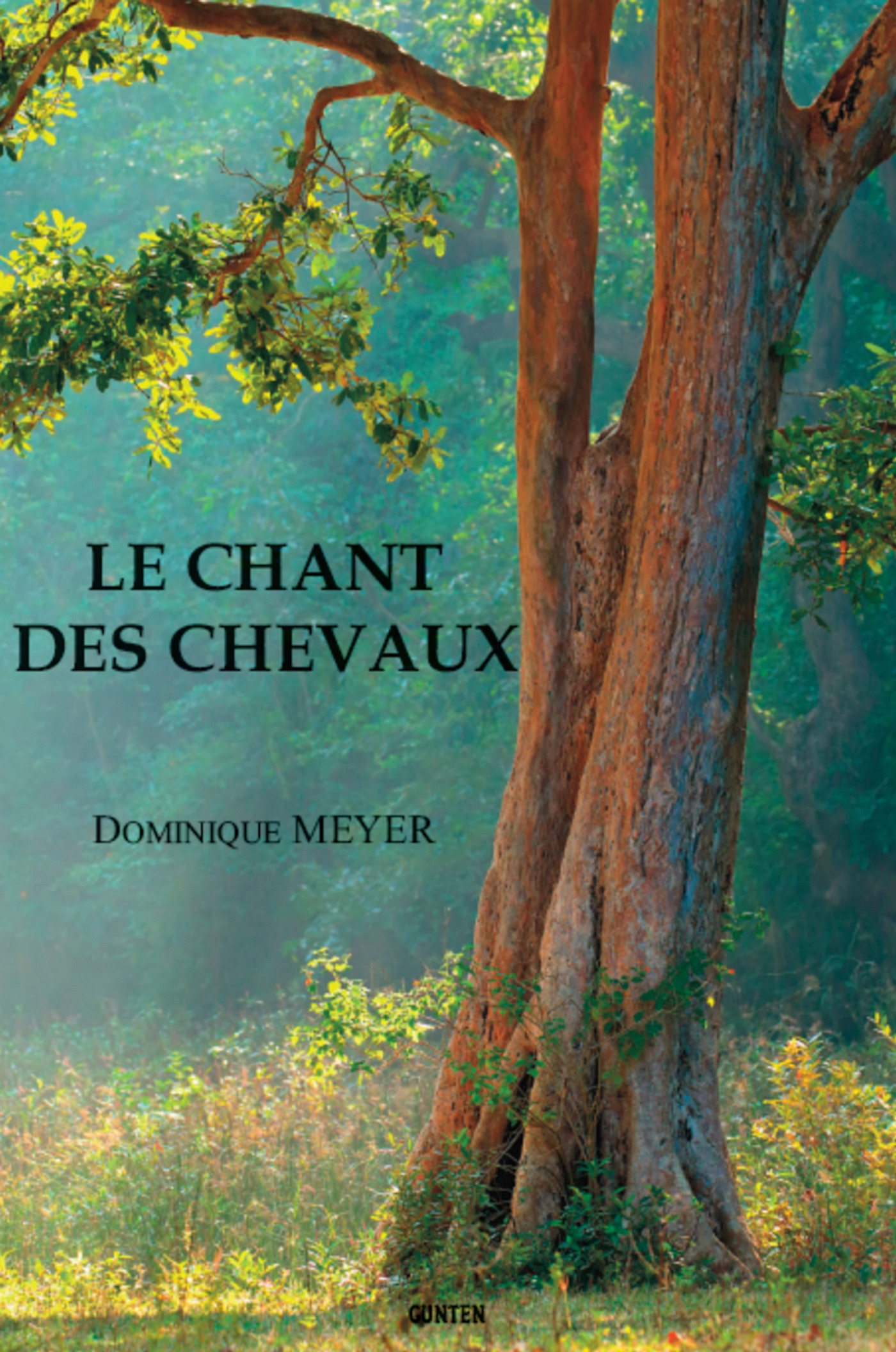 Couverture ebook de Le Chant des Chevaux, de Dominique Meyer