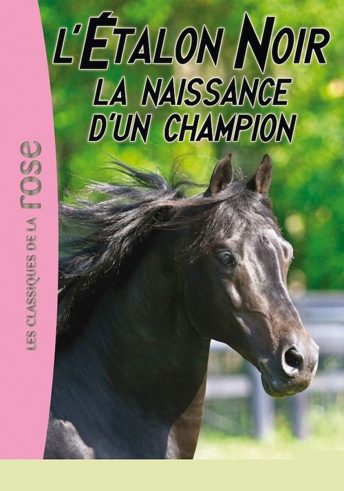 Couverture ebook de L'Étalon Noir 19 - La naissance d'un champion, de Steven Farley, Walter Farley