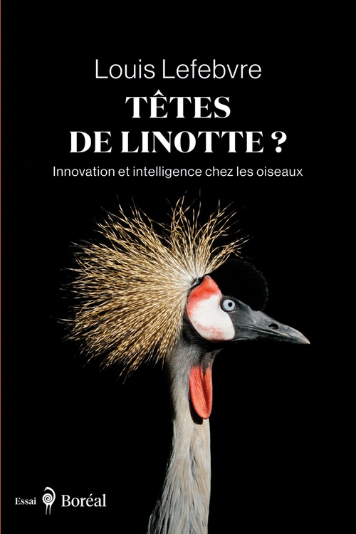 ebook cover of Têtes de linotte ?, by Louis Lefebvre