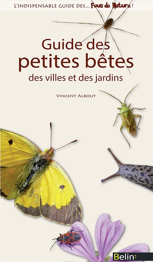 Couverture ebook de Guide des petites bêtes des villes et des jardins, de Vincent Albouy