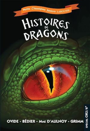 Couverture ebook de Histoires de dragons, de Catherine Mory