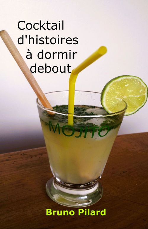 ebook cover of Cocktail d'histoires  à dormir debout, by Bruno Pilard