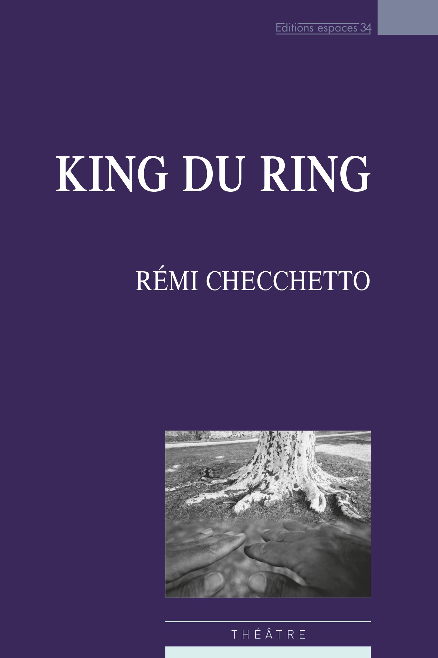 Couverture ebook de King du ring, de Remi Cecchetto