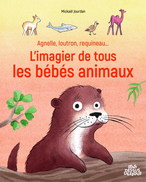ebook cover of Agnelle, loutron, requineau... L'imagier de tous les bébés animaux, by Mickaël Jourdan